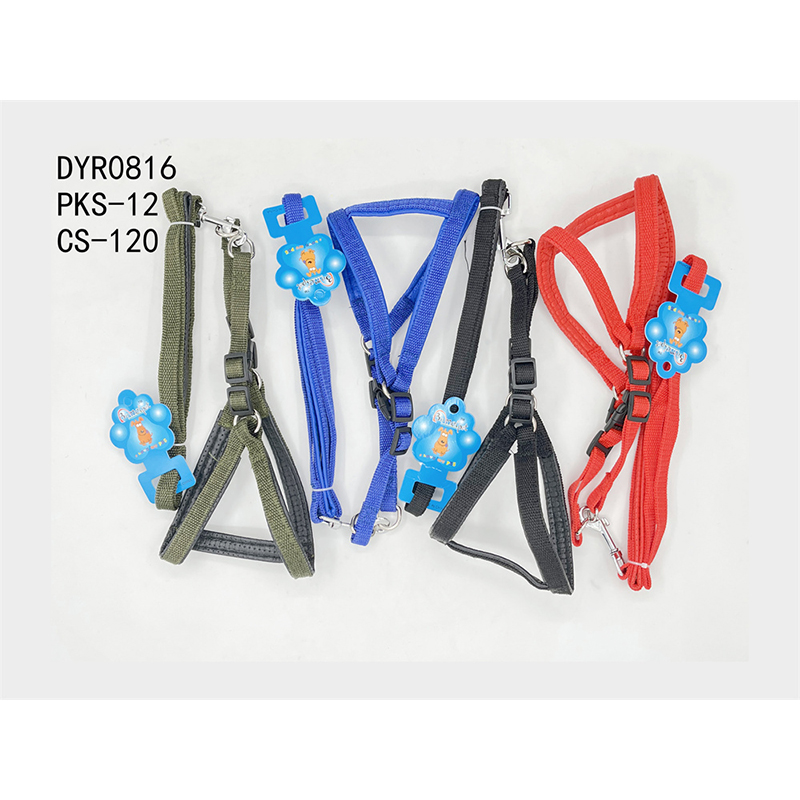 DYR0816